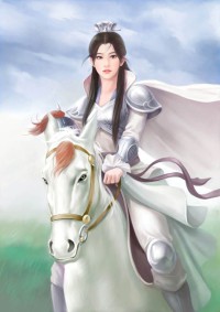 我的极品小姨子